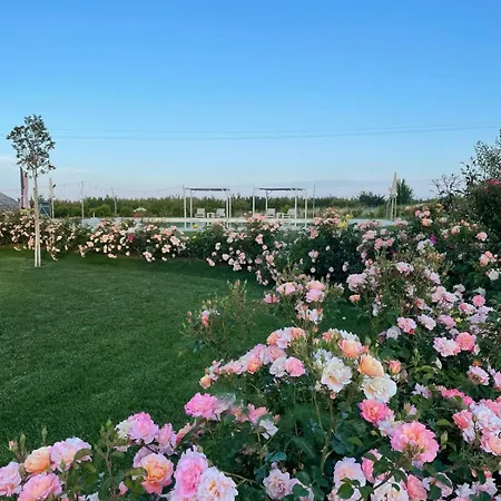 Alta Area 4* Нова-Сири