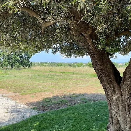 Aparthotel Alta Area Nova Siri