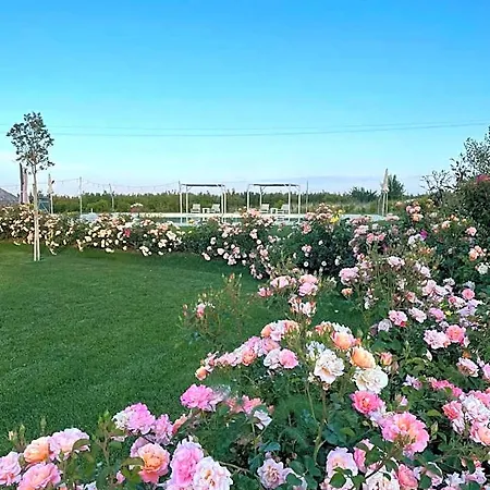 Appart hôtel Alta Area Nova Siri