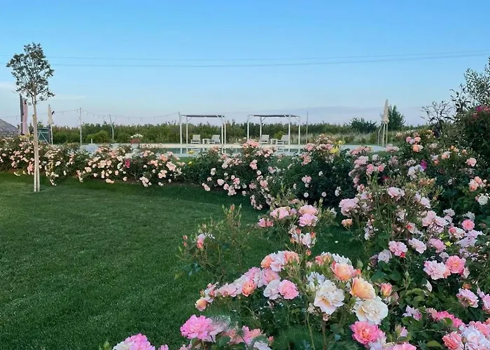 Alta Area 4* Nova Siri